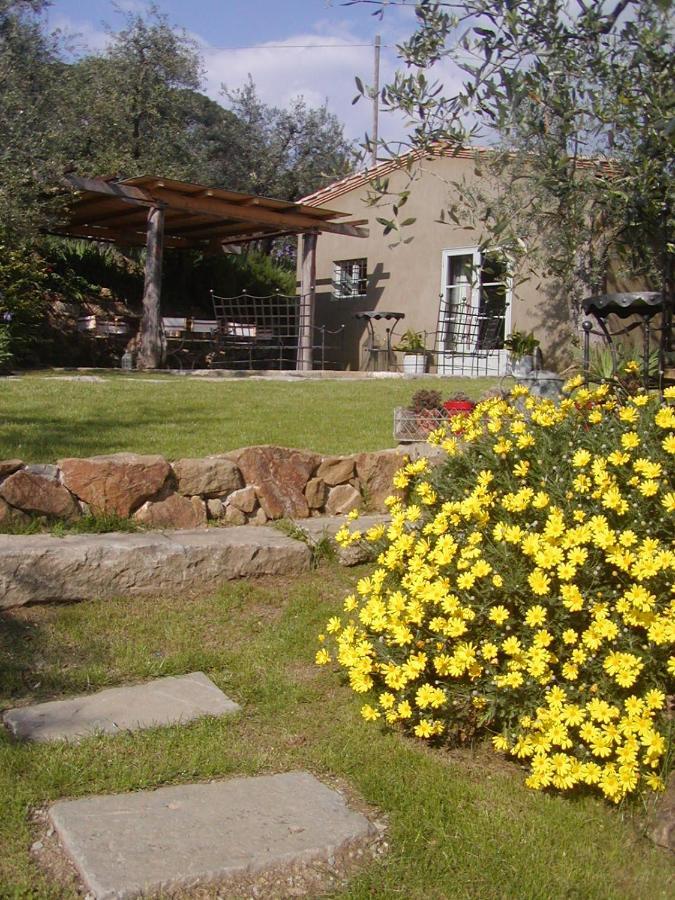 Settignano Tuscany Homes Bagian luar foto