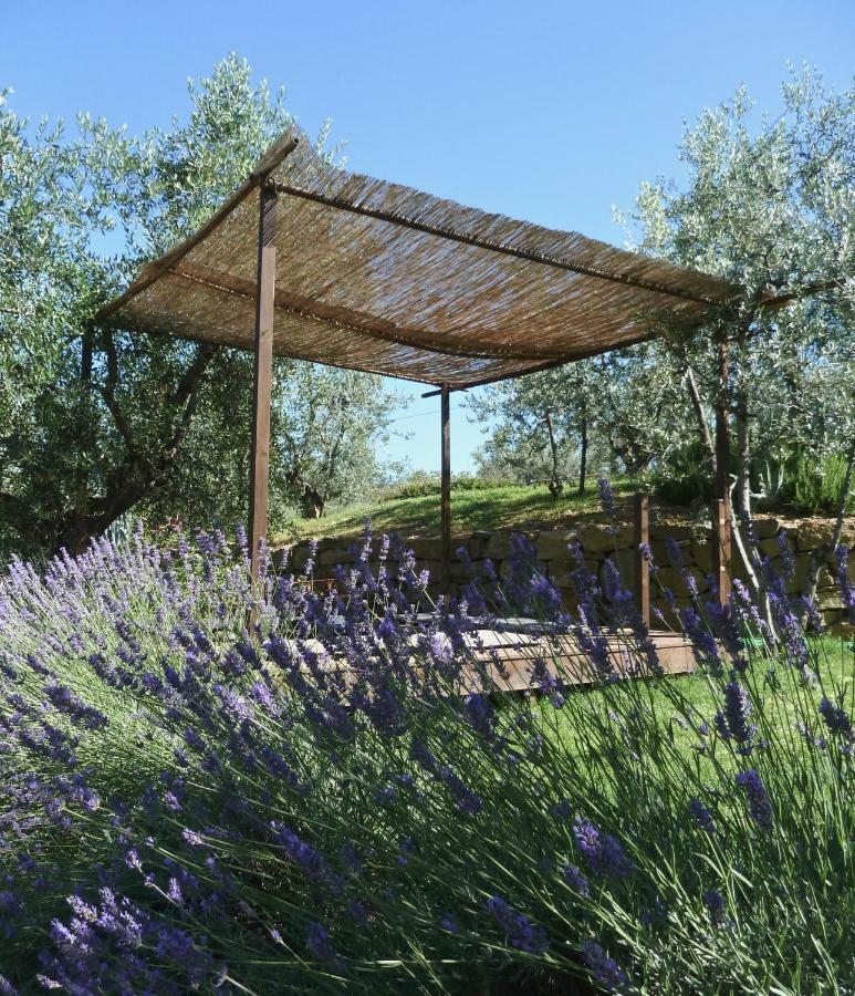 Settignano Tuscany Homes Bagian luar foto