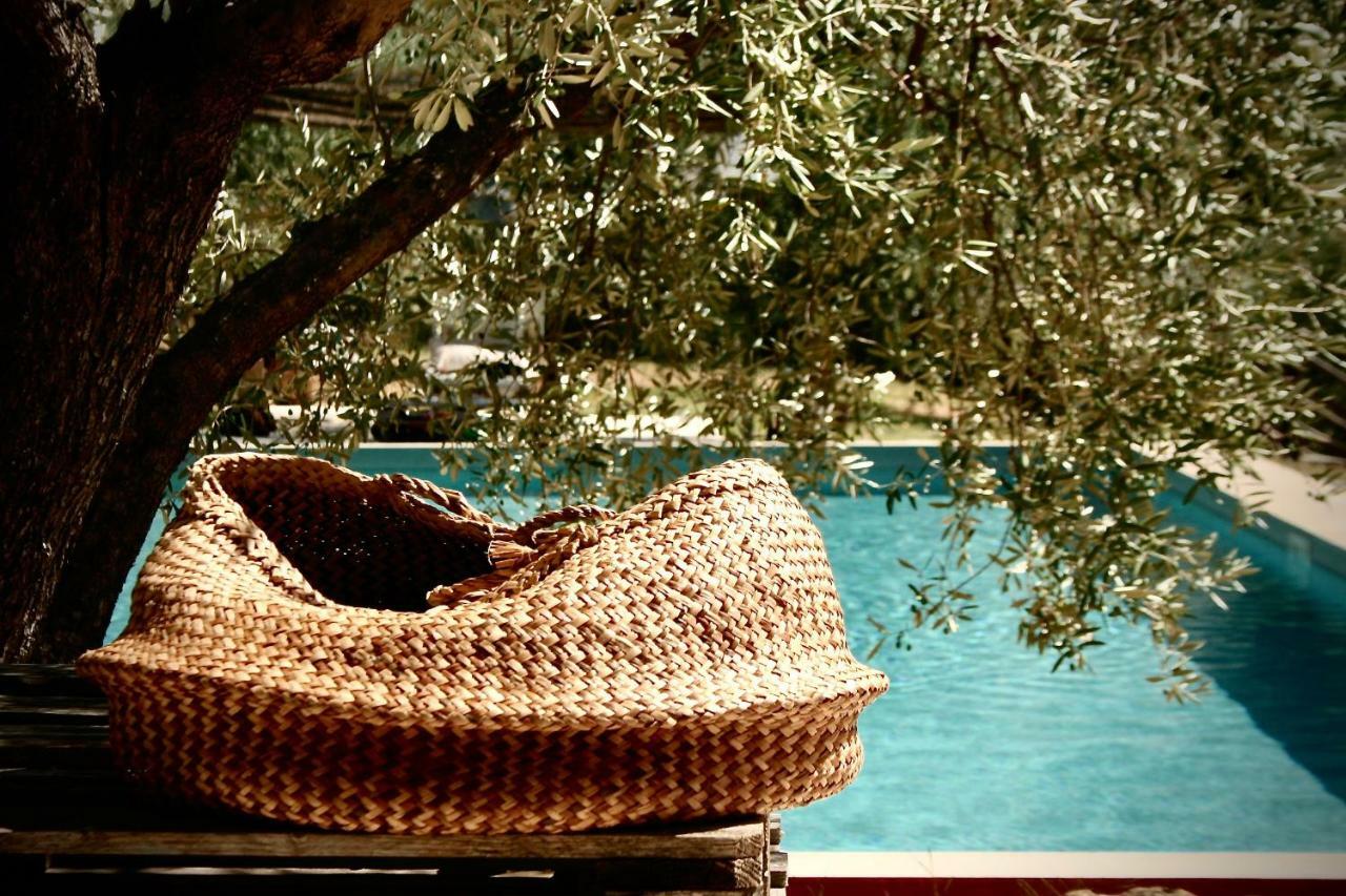 Settignano Tuscany Homes Bagian luar foto