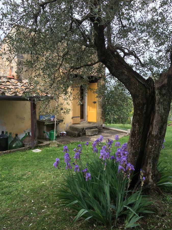 Settignano Tuscany Homes Bagian luar foto
